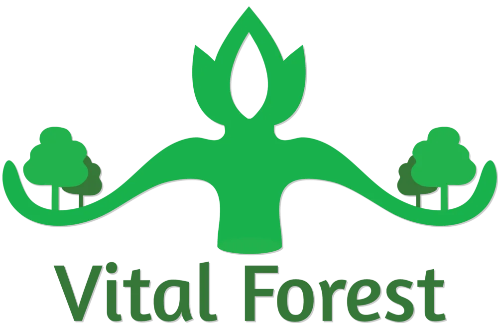Logo - Vital Forest